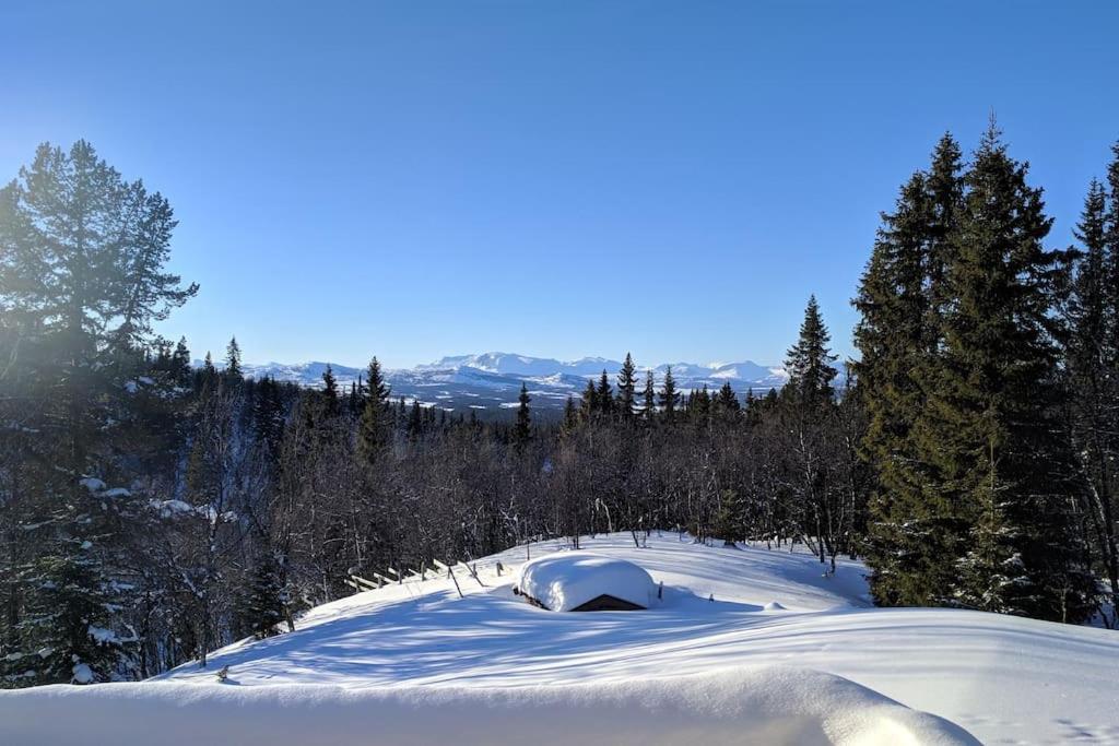 Cozy Log At Beautiful Nystolsfjellet Feriehus