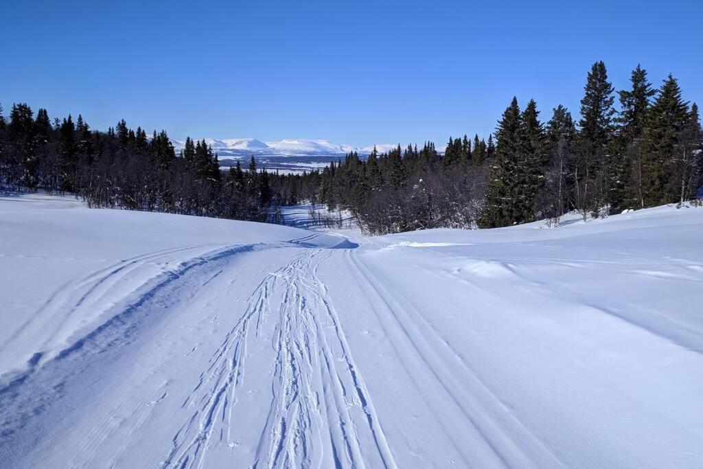 Cozy Log At Beautiful Nystolsfjellet * Gol